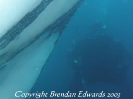 The darkened stripes are made from scraping along the ground and sea bed during glacial movements